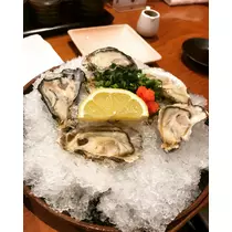 東条 茉叶菜