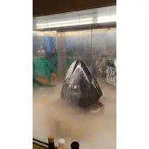 桃 かんな
