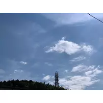 椿綺 楓