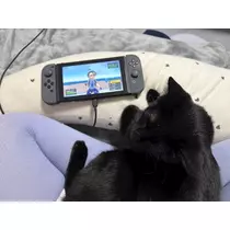 サキ