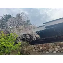 綾瀬 優