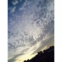 ゆかり