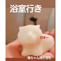 紫音