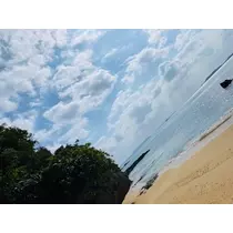 ゆかり