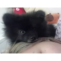 ティナ