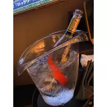 白石 愛莉