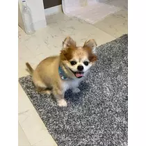 片桐 さやか