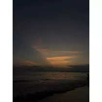 ラム