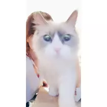 りか