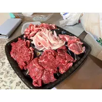 西蓮寺 ひかる