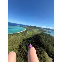 芹沢 莉瀬
