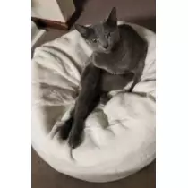華