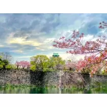 ゆかり
