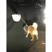 ティナ