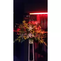 美羽  みう