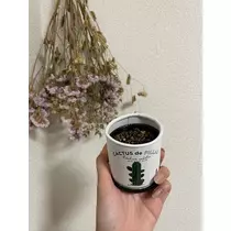 あおい