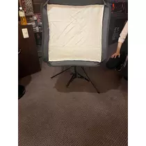 美月