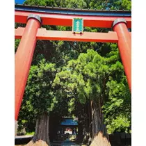 ゆかり