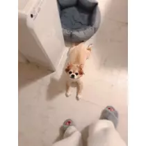 片桐 さやか