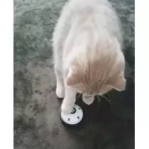 さな