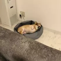 片桐 さやか