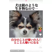 佐倉 里緒