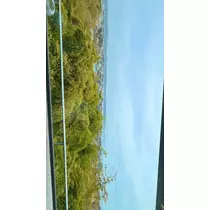 ミノリ