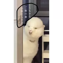 こう