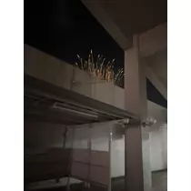あいら