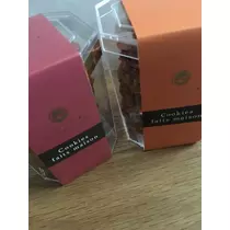 白石 愛莉