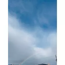 りおな