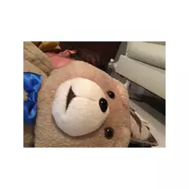 蓮見 リア