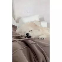 朝陽 凪