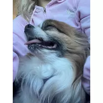 あいら