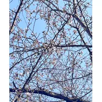 なるみ