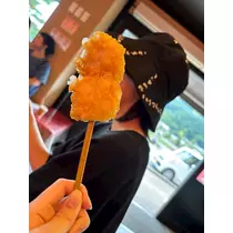 西蓮寺 ひかる