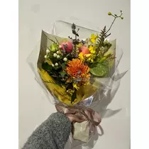 のぞみ