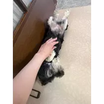 天月 あすな