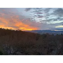 椿綺 楓