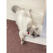 るい♡