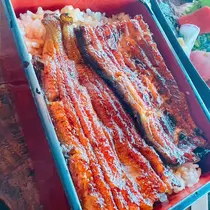 向日葵 ひまり
