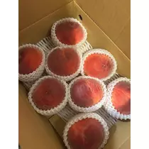 みれい