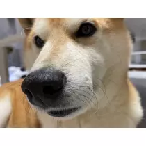みり
