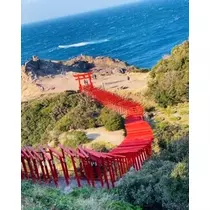ゆかり