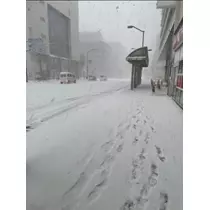 宝條 夏恋