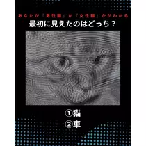 みやび