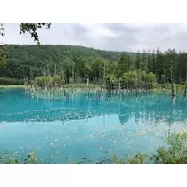 白咲 澪