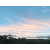 りょう