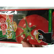 蓮