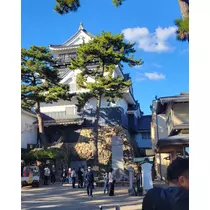桃 かんな